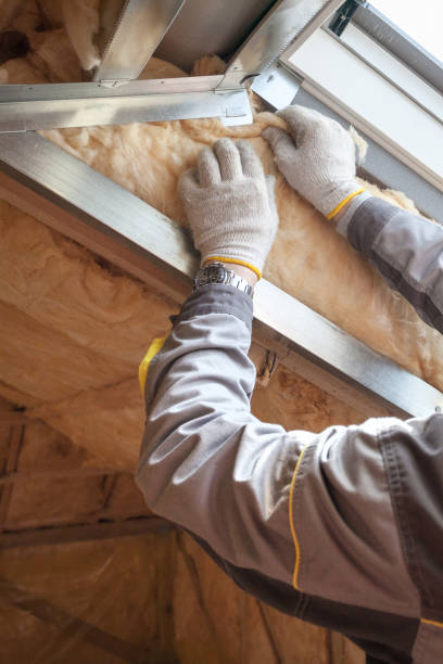 Best Geographic-Specific Insulation Services in New Mford, IL